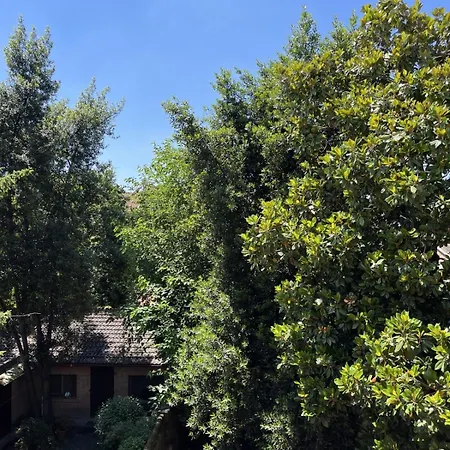Le Petit Loft Διαμέρισμα