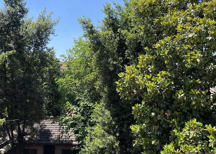 Le Petit Loft Lejlighed